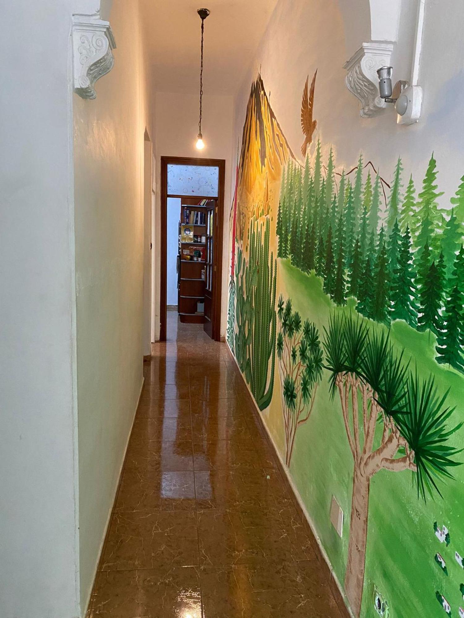 Drago Hostel Icod De Los Vinos Exterior photo