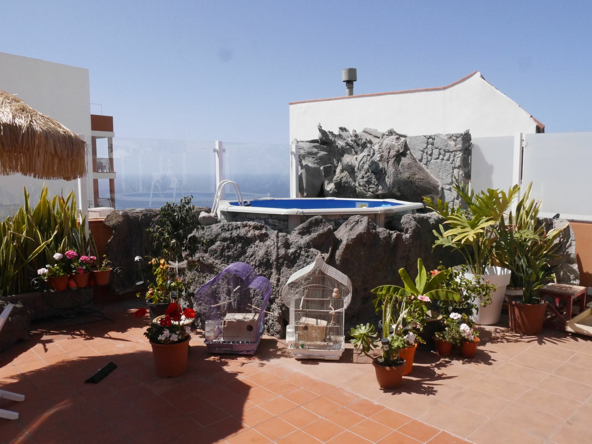 Drago Hostel Icod De Los Vinos Exterior photo